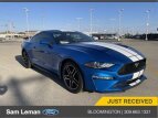 Thumbnail Photo 31 for 2019 Ford Mustang